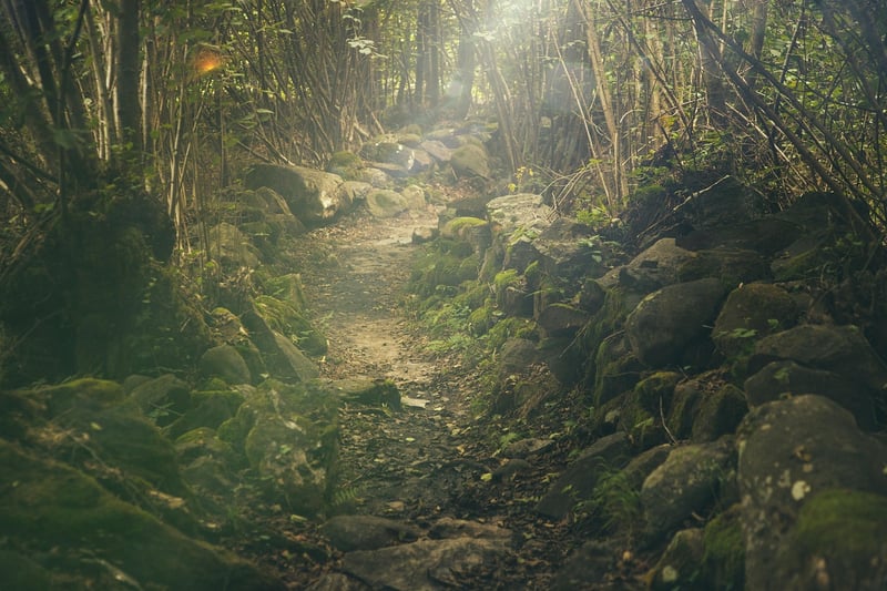 Nature Walks