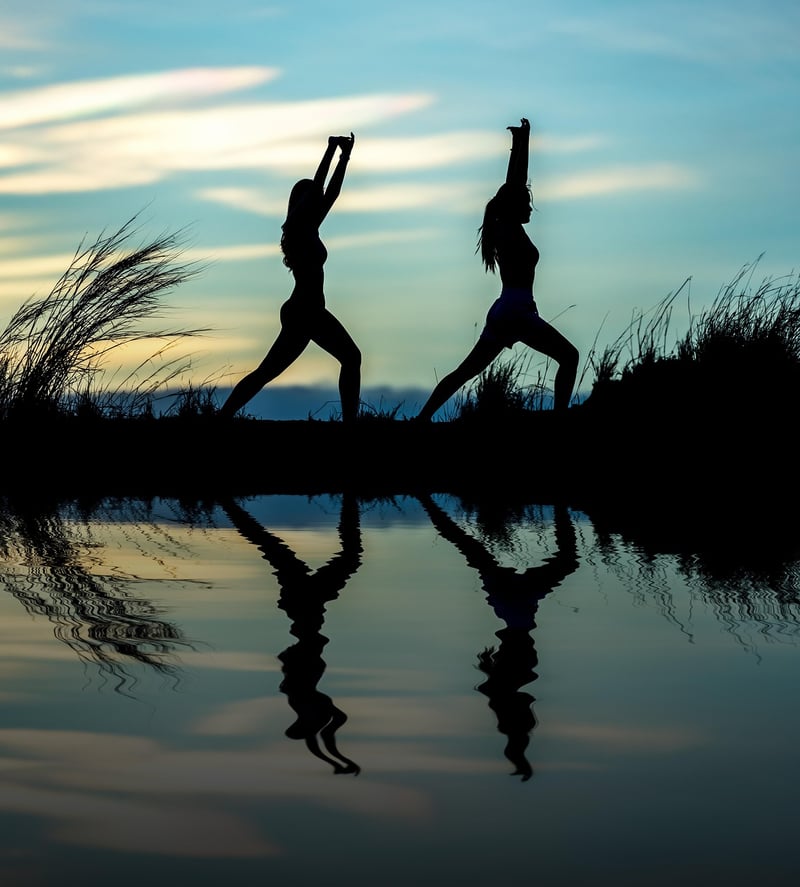 Hatha Yoga Practice